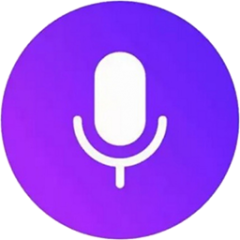 Alice voice assistant